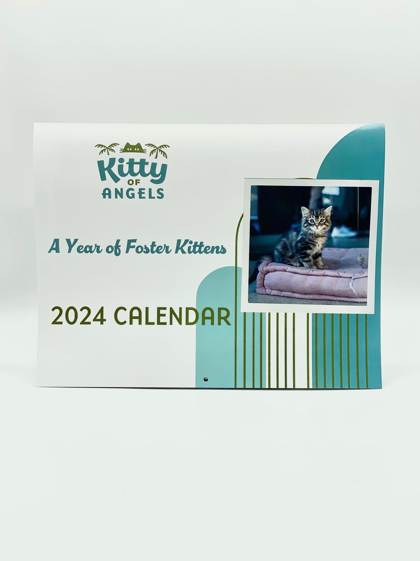 2024 A Year In Fosters Calendar